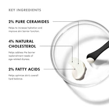 Charger l'image dans la visionneuse de la galerie,TRIPLE RESTAURATION LIPIDIQUE